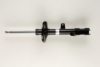 BILSTEIN 22-228116 Shock Absorber